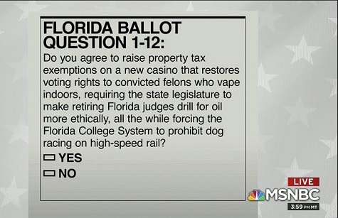florida ballot question.jpg